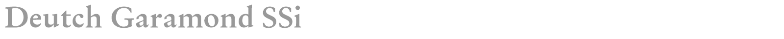 Deutch Garamond SSi font preview